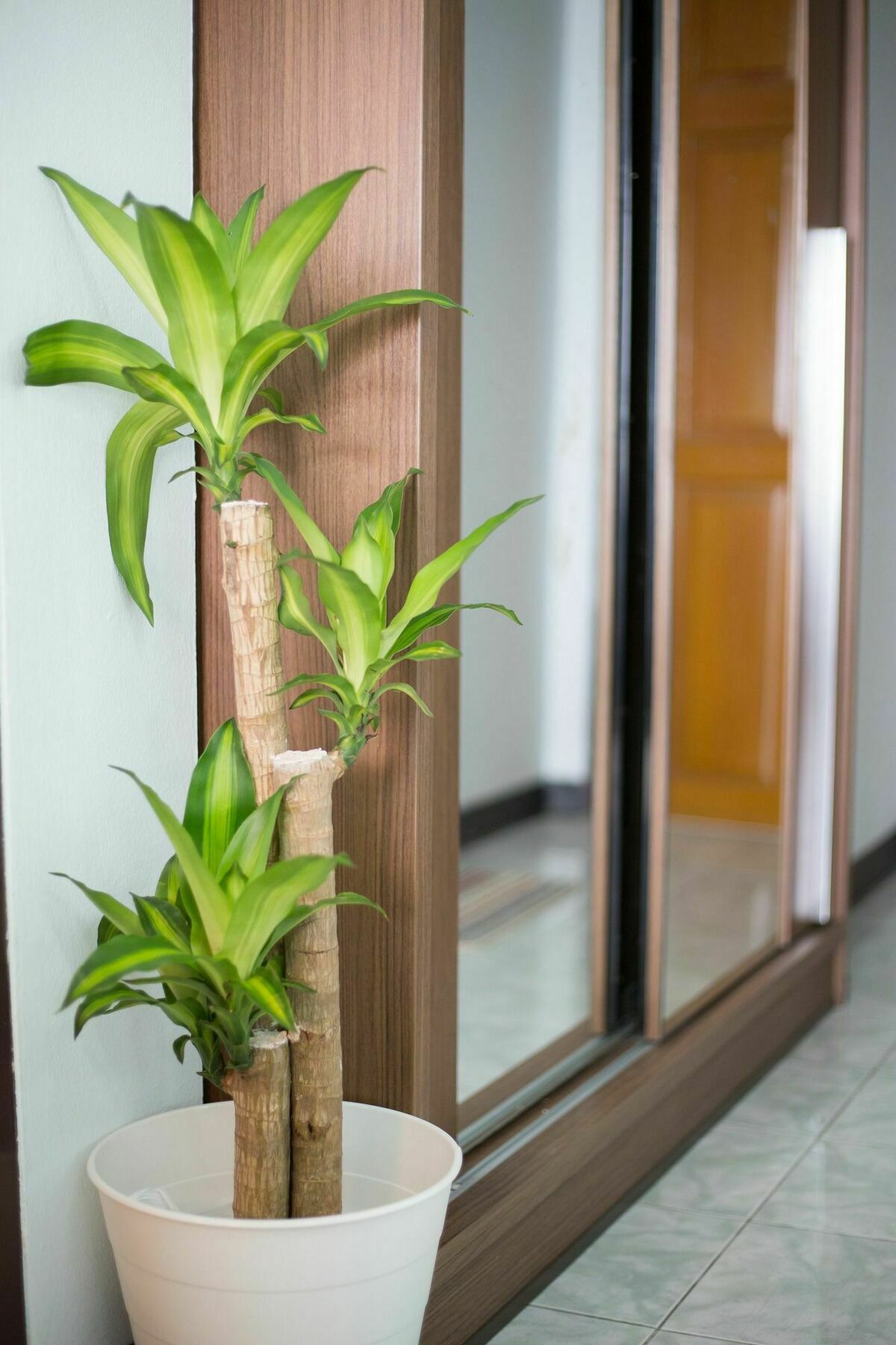 Ratchaprarop Apartment Bangkok Exterior foto